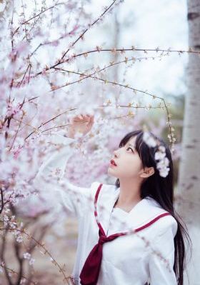 一级毛片免费看视频_蓝光在线观看